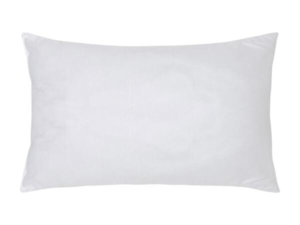 Anti-Allergy Pillows