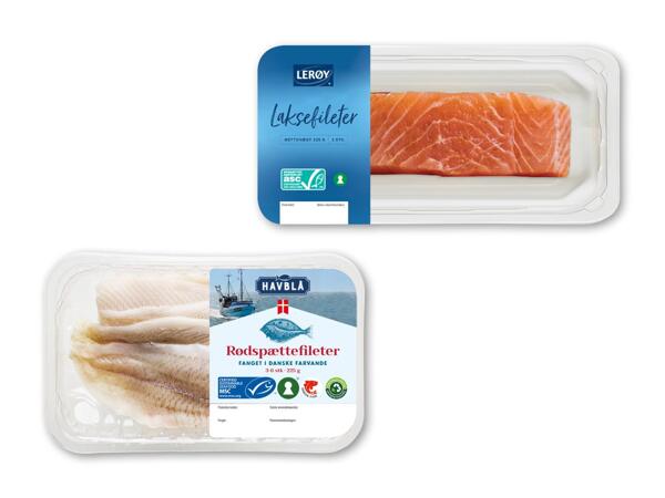LERØY/​HAVBLÅ Laksefileter med skind eller danske rødspættefileter