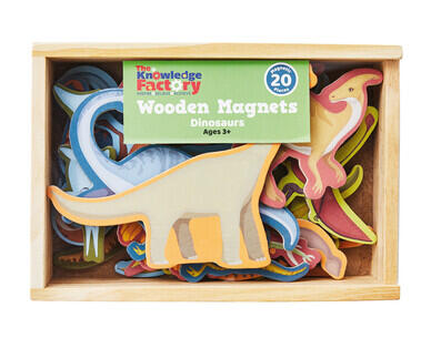 Educational Wooden Magnets