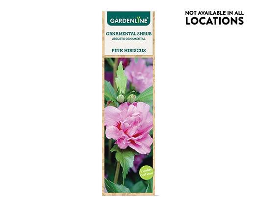Gardenline Ornamental Shrub Assorted Varieties