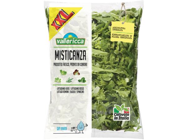 Mixed Salad XXL