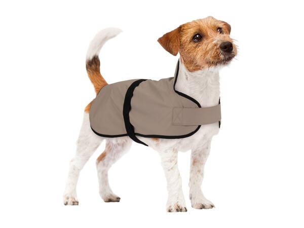 Zoofari Beige Dog Coat
