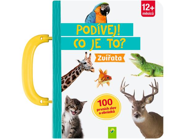 DĚTSKÁ KNIHA