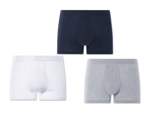Herren Boxer, 3 Stück
