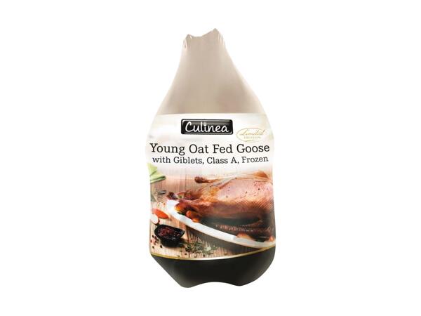 Oie