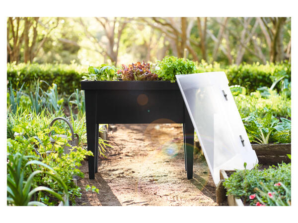 Raised Planter with Cover
