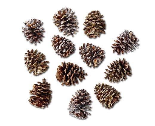 Huntington Home 
 Holiday Pine Cones