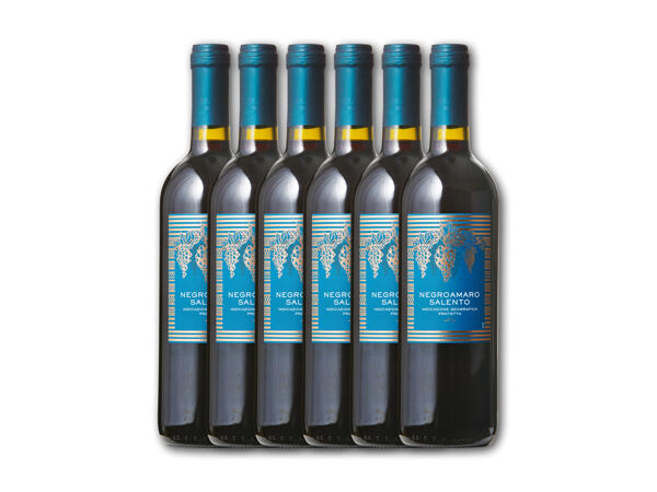 Negroamaro IGP Selento JG 2016