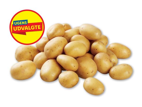 Kartofler
