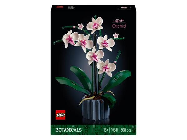 10311 Orchidej