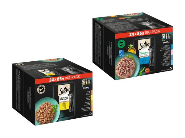 Cibo umido per gatti