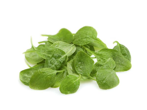 Épinards frais