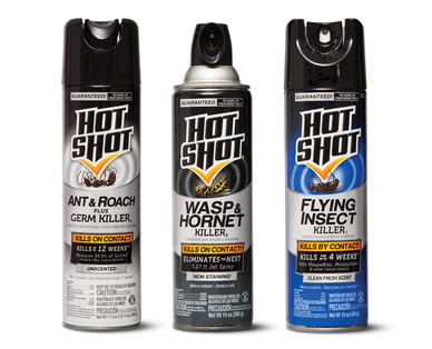 Hot Shot Ant, Roach & Spider, Wasp & Hornet or Flying Insect Spray