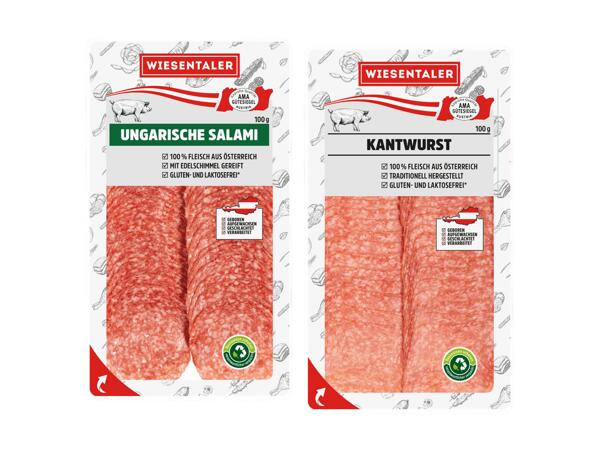 Ungarische Salami oder Kantwurst