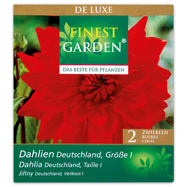 Exklusive Blumenzwiebeln "De Luxe"