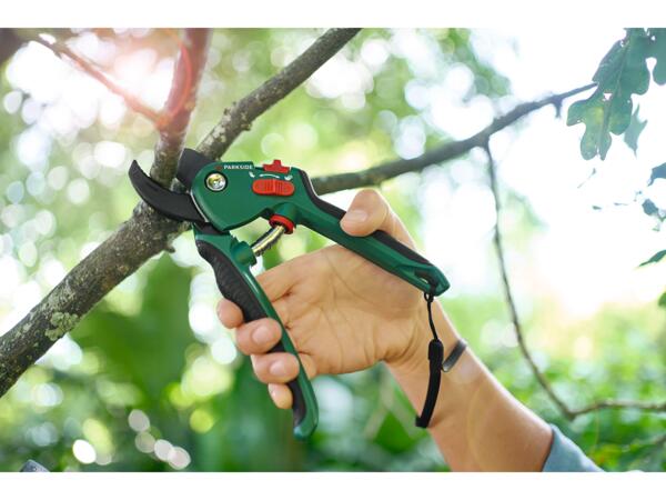 Bypass/Anvil Secateurs