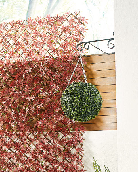 Gardenline Boxwood Topiary Ball