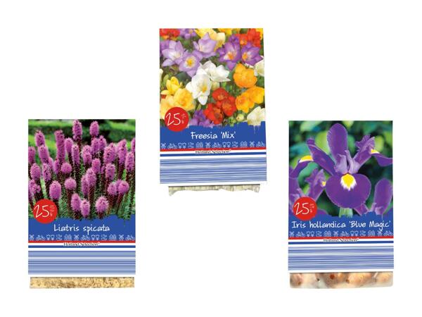Blomsterløg