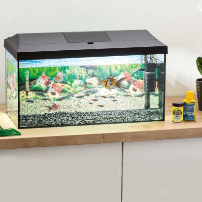 Aquarium