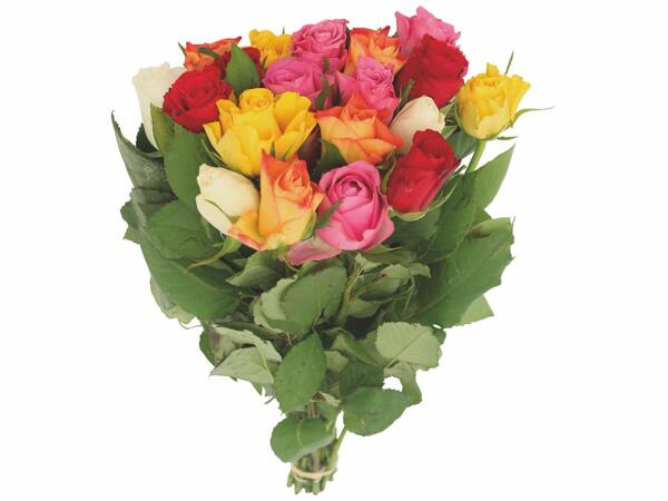 Bouquet de roses arlequin ou bouquet de grandes roses