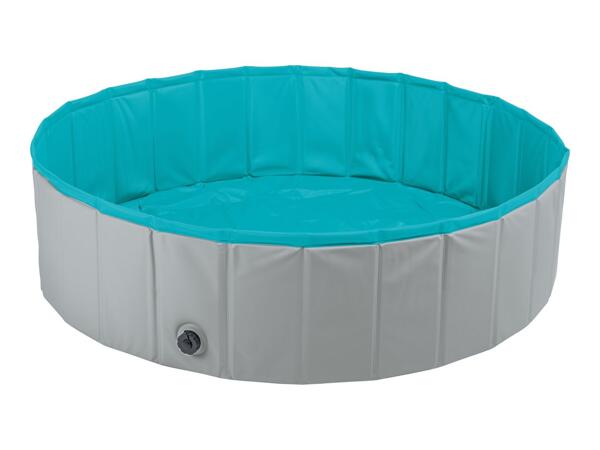 Zoofari Dog Pool