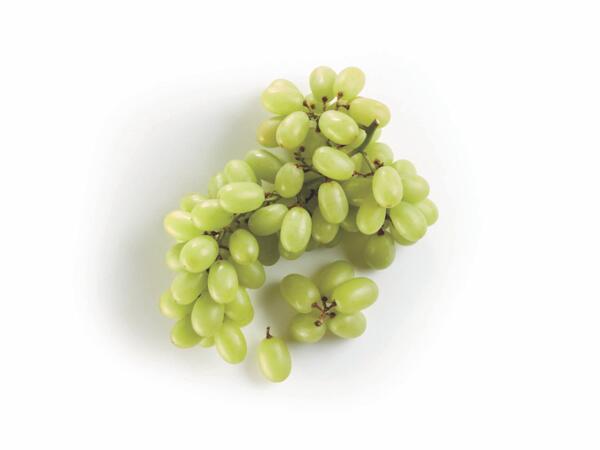 Seedless Grapes