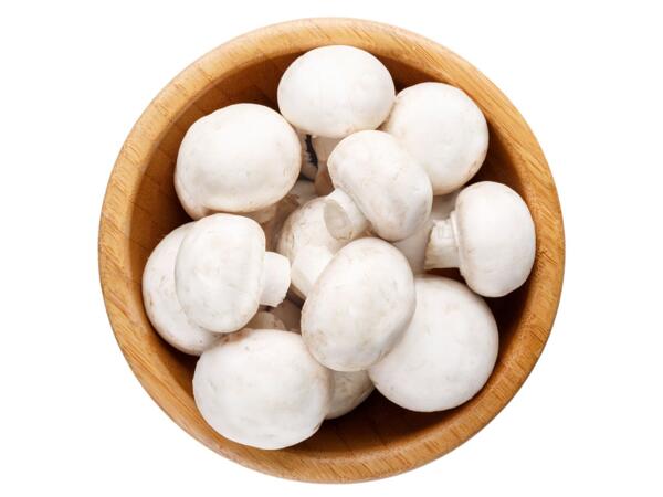 Champignons weiß