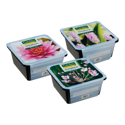 Vandplanter