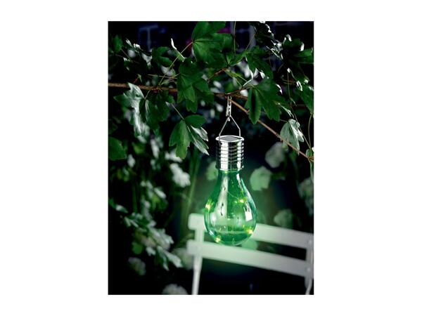 Livarno Home Decorative Solar Light