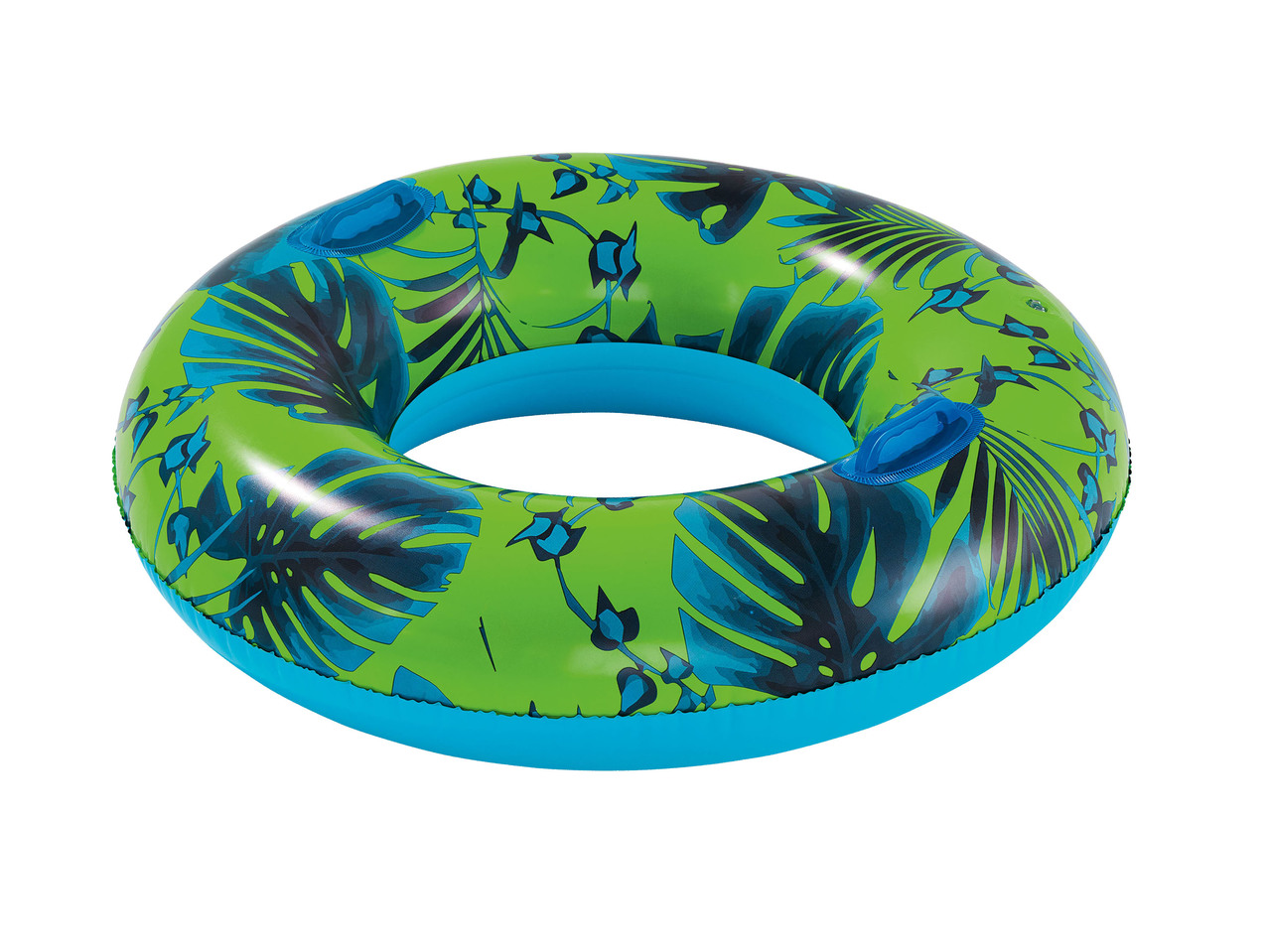 Pool Lounger or Inflatable Swim Ring