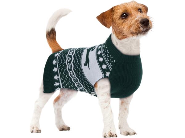Dog Jumper