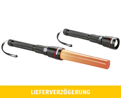 LIGHTWAY
LED-STABLAMPE 1500 LUMEN MIT POWERBANK