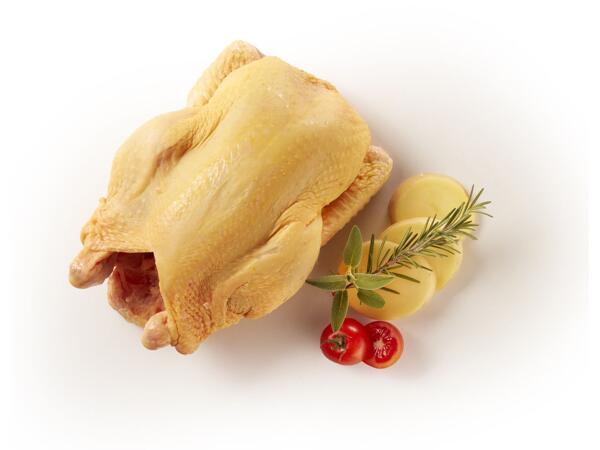 Free-Range Chicken