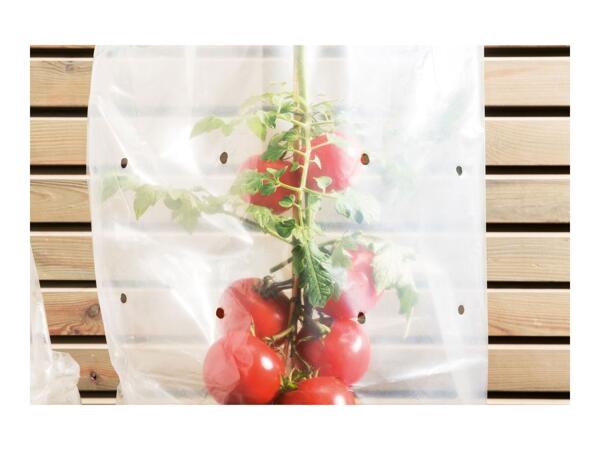 Parkside Plant Protection Shrub Film Tube
