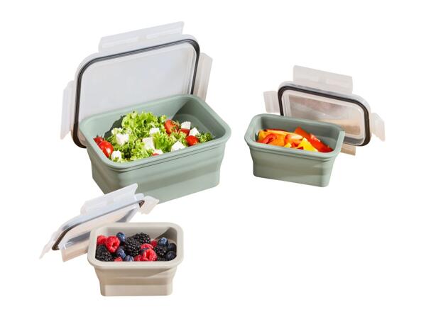 Silvercrest Collapsible Rectangular Food Storage Containers - 4 Pieces