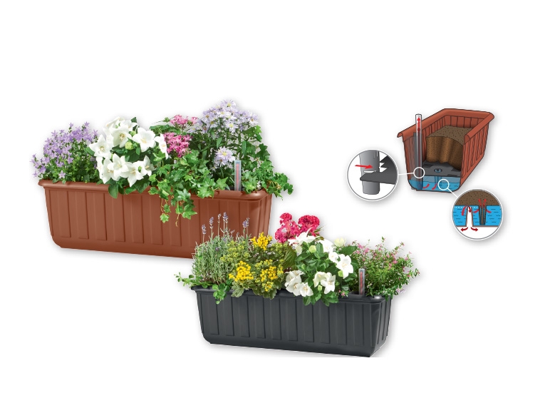 FLORABEST Flower Box