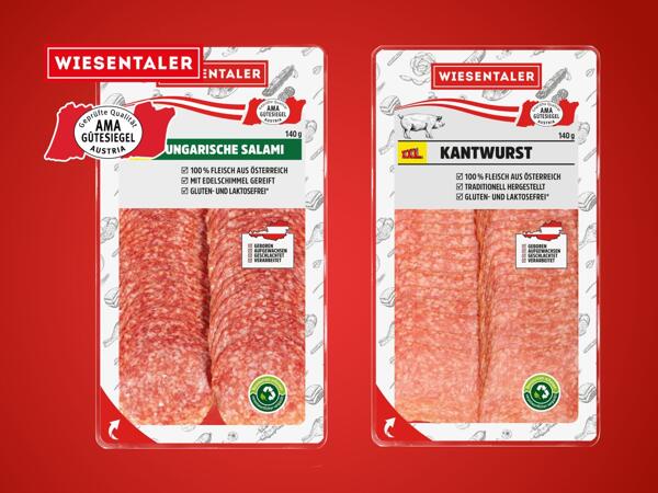 Ungarische Salami oder Kantwurst