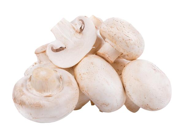 Northern Irish Mushrooms