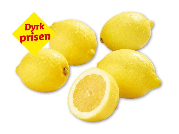 Citroner