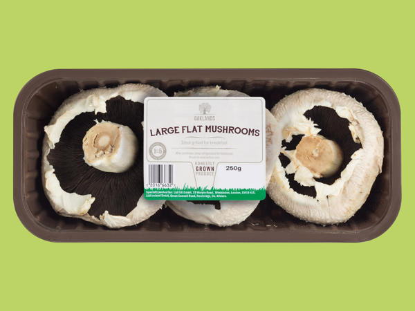 Oaklands Large Flat Mushrooms