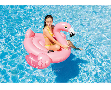 Inflatable Ride-On Animals