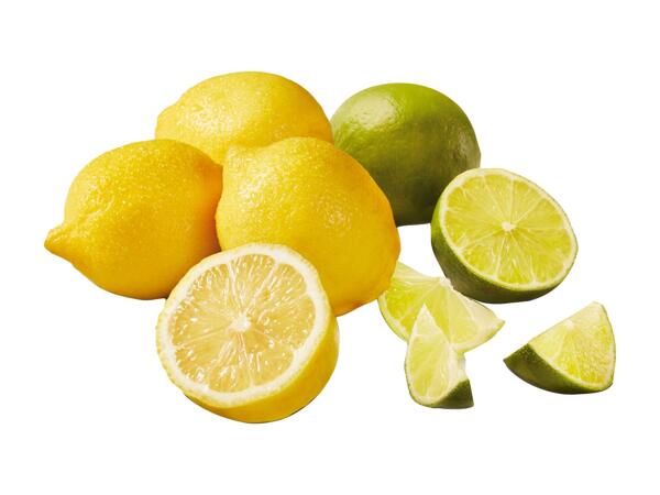 Lemon & Lime Mixed Net