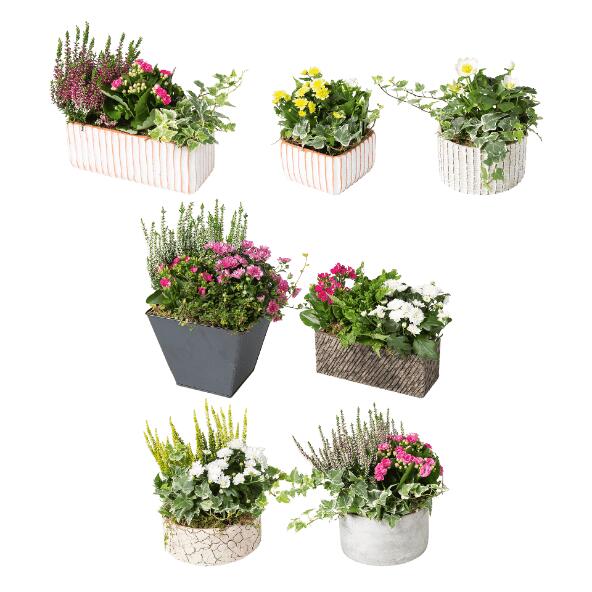 Allerheiligencompositie