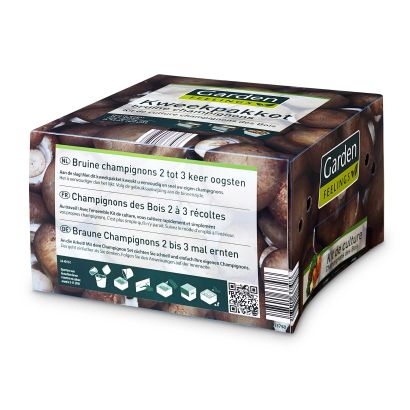 Kit de culture de champignons