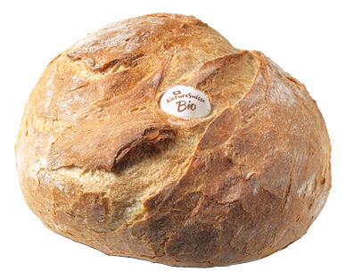 NATURE SUISSE BIO/PANETTERIA BIOHOLZOFENBROT