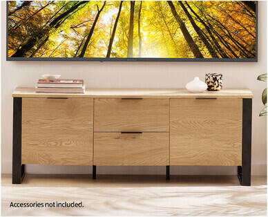Entertainment Unit