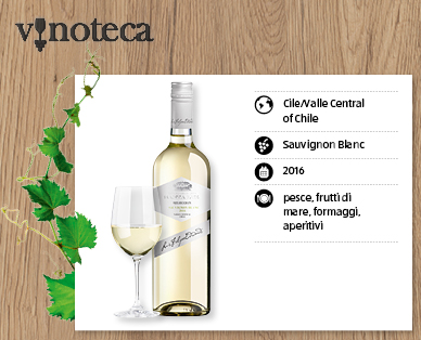 Sauvignon Blanc SANTA LUZ