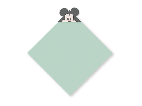 Baby Hooded Towel