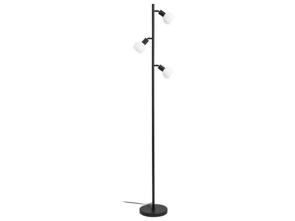 Standing Light