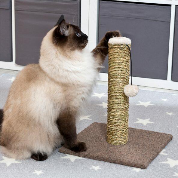 Kattenkrabbal of -paal